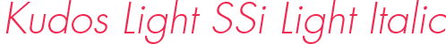 Kudos Light SSi Light Italic